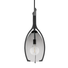 Load image into Gallery viewer, Troy F8313-FOR 1 Light Large Pendant, Steel