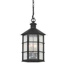 Load image into Gallery viewer, Troy F2526-FRN 4 Light Exterior Lantern, French Iron
