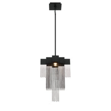 Load image into Gallery viewer, Eurofase 44370-015 Bloomfield 2 Light Pendant In Black