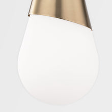Load image into Gallery viewer, Mitzi H101701-Pn 1 Light Pendant, PN