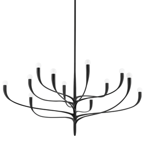 Hudson Valley 9612-AI 12 Light Chandelier, Aged Iron