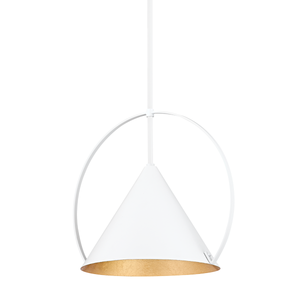 Troy F1818-GL/SBK 1 Light Small Pendant, Aluminum And Stainless Steel
