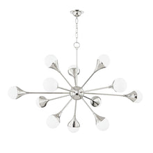 Load image into Gallery viewer, Mitzi H375812-PN 12 Light Chandelier Polished Nickel - 